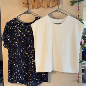 EUC BANANA REPUBLIC SIZE LARGE BUNDLE. set of two short sleeve blouses